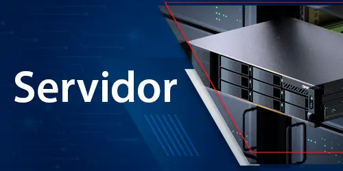 Servidores, Sistemas para o Processamento de Dados em Rede